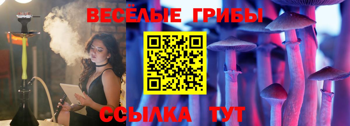 Малгобек  Псилоцибиновые грибы Magic Shrooms  Вход с VPN 